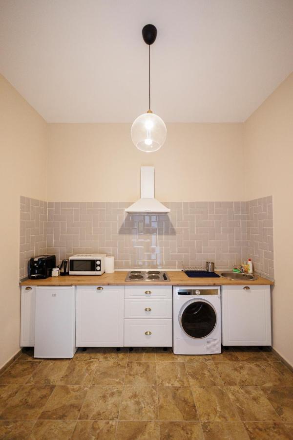 טימישוארה Jolie Flat In The Heart Of The City מראה חיצוני תמונה