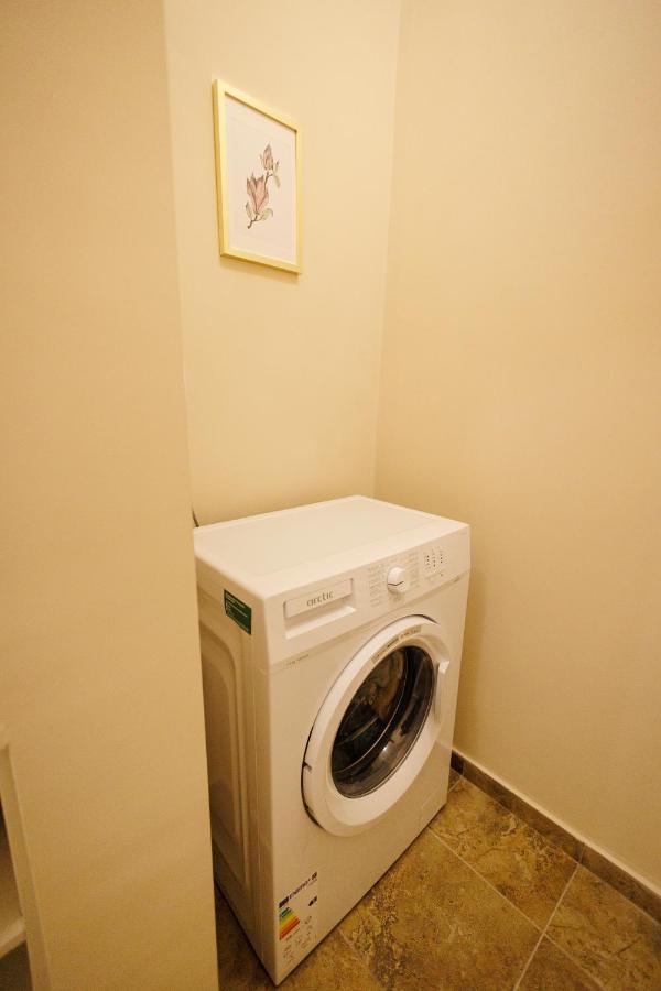 טימישוארה Jolie Flat In The Heart Of The City מראה חיצוני תמונה
